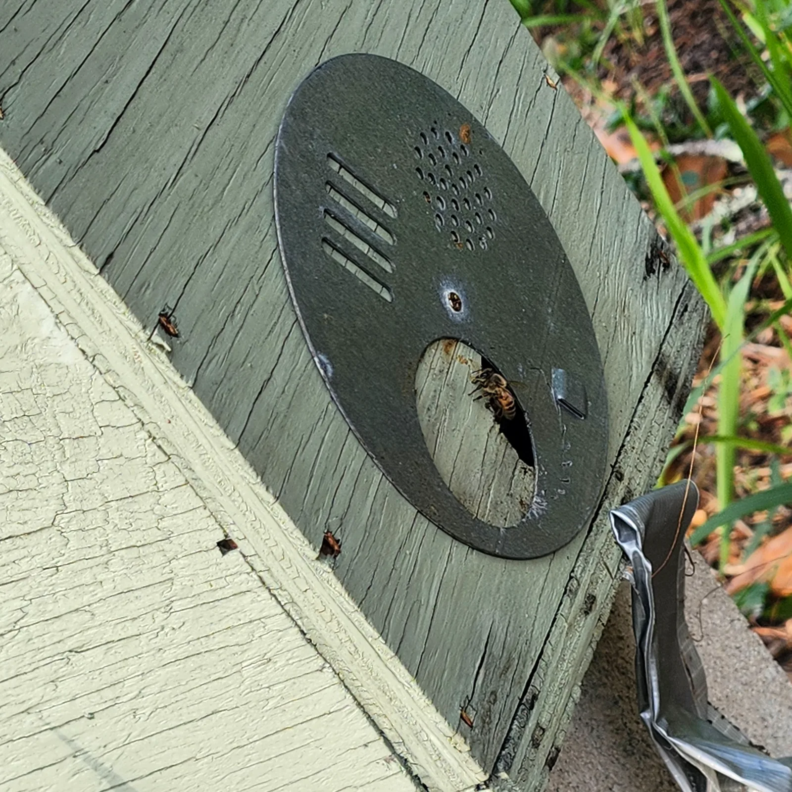 Hive frame covered with working honey bees